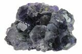 Purple Cuboctahedral Fluorite Crystals on Quartz - China #161831-1